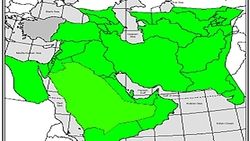 بدون تعارف با بانویی که هیچگاه تسلیم نشد + فیلم