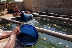 تالاب آبکنار، بهشت رو به زوال