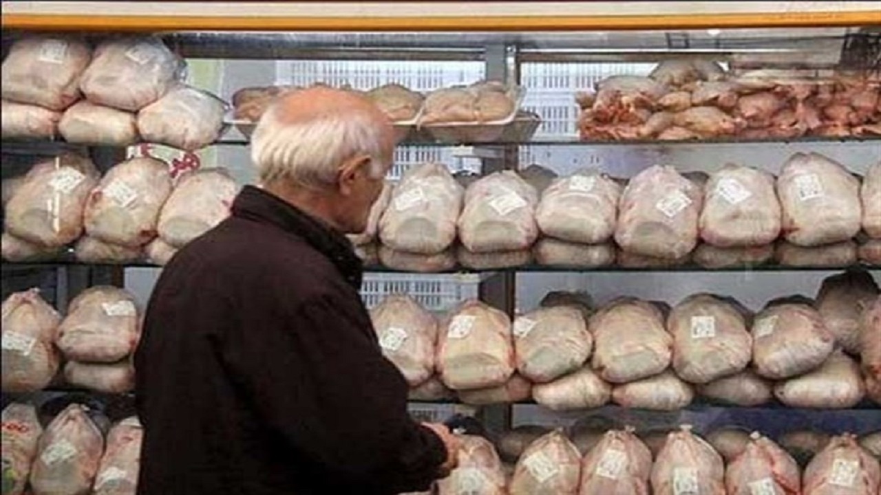 گرانفروشی مرغ در سایه بی توجهی مسئولان