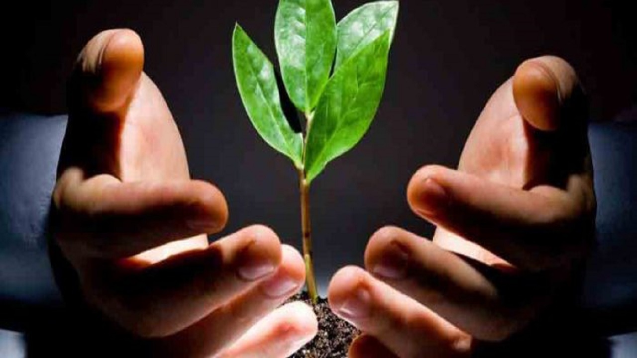 تولید داروی بومی برای ترک اعتیاد