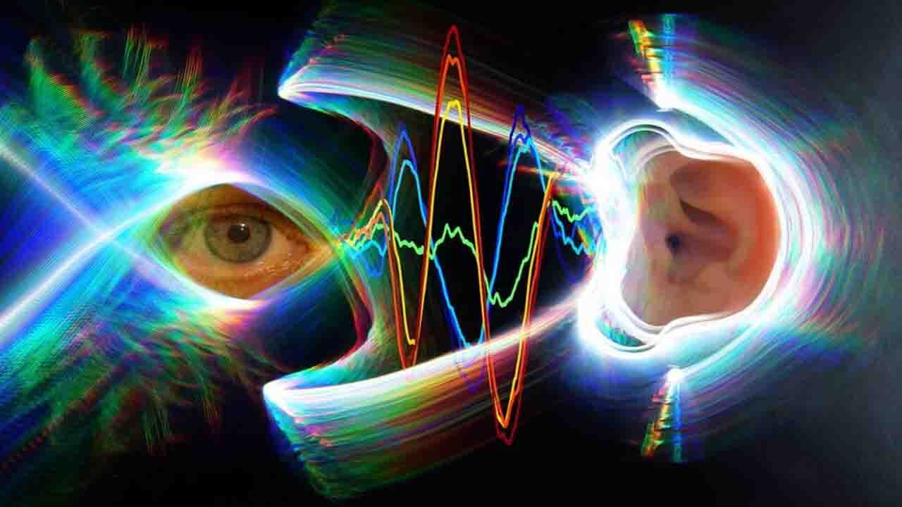چشم یا گوش؛ کدام یک زودتر تکامل یافت؟