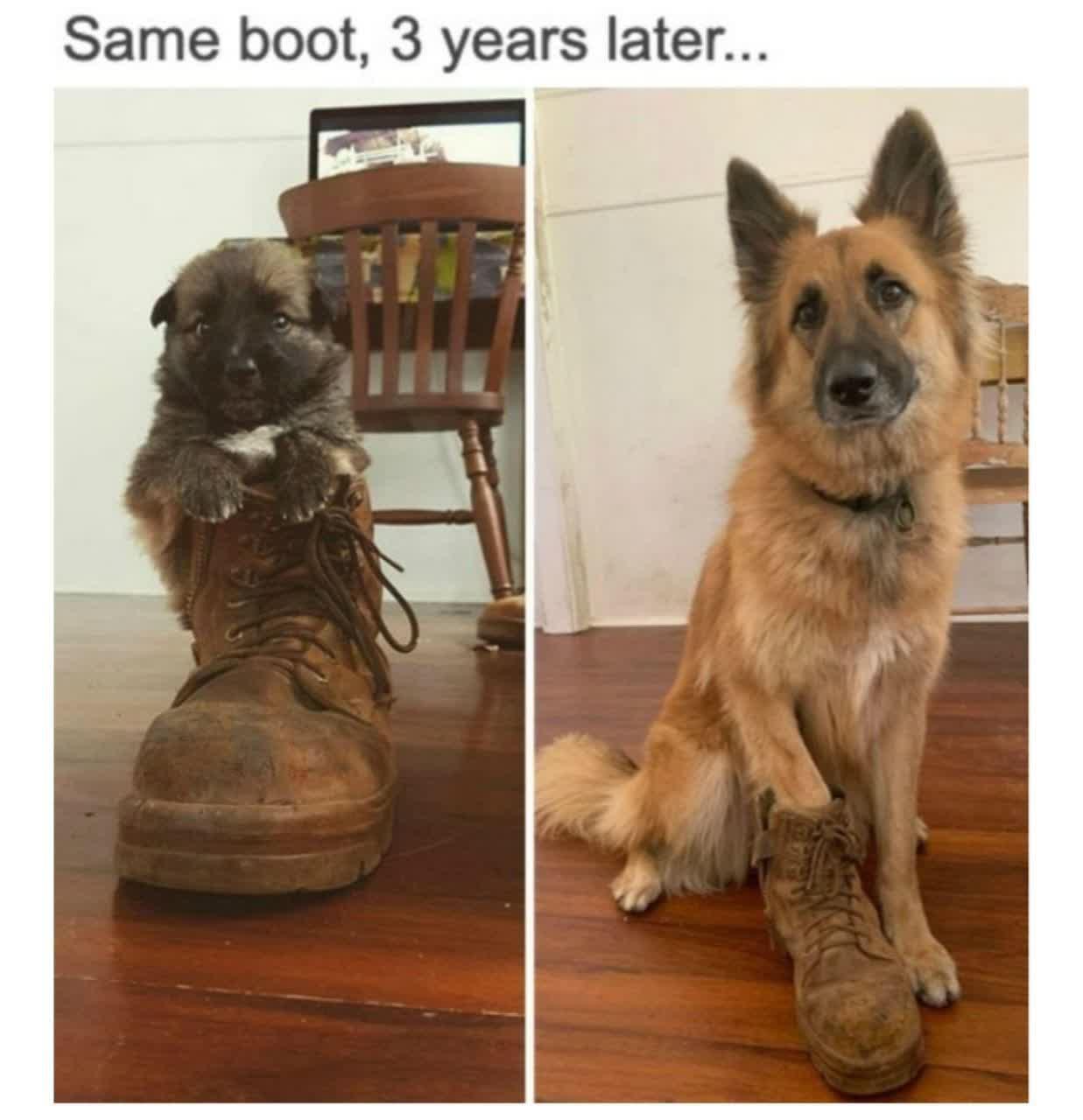 /