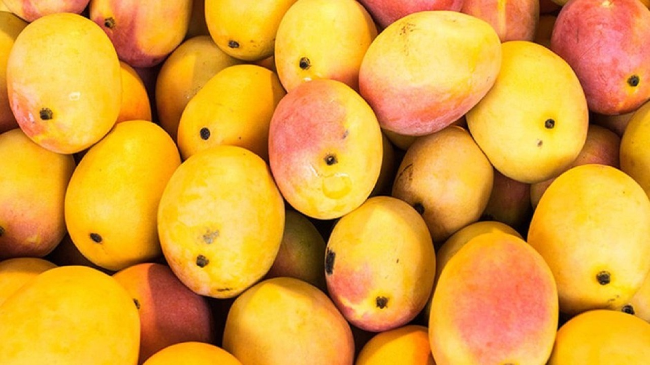 میوه میوه