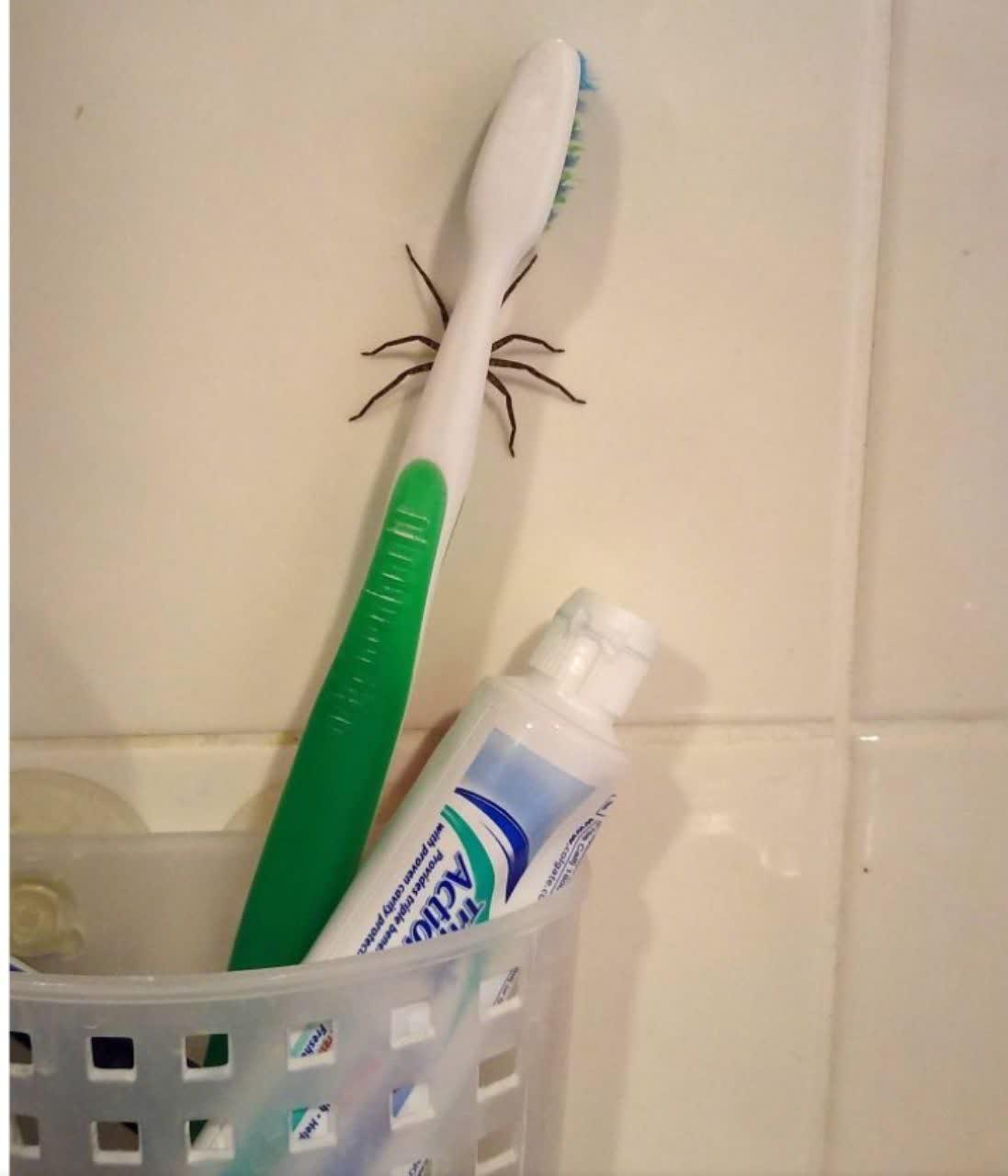 /