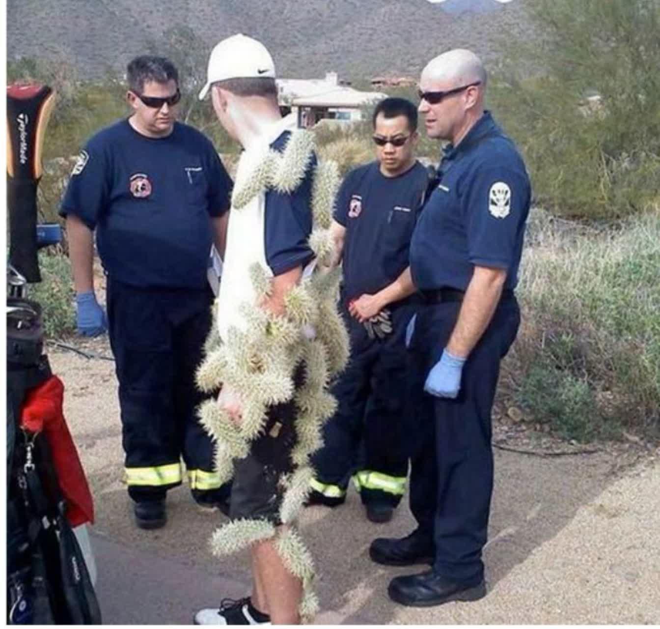 /