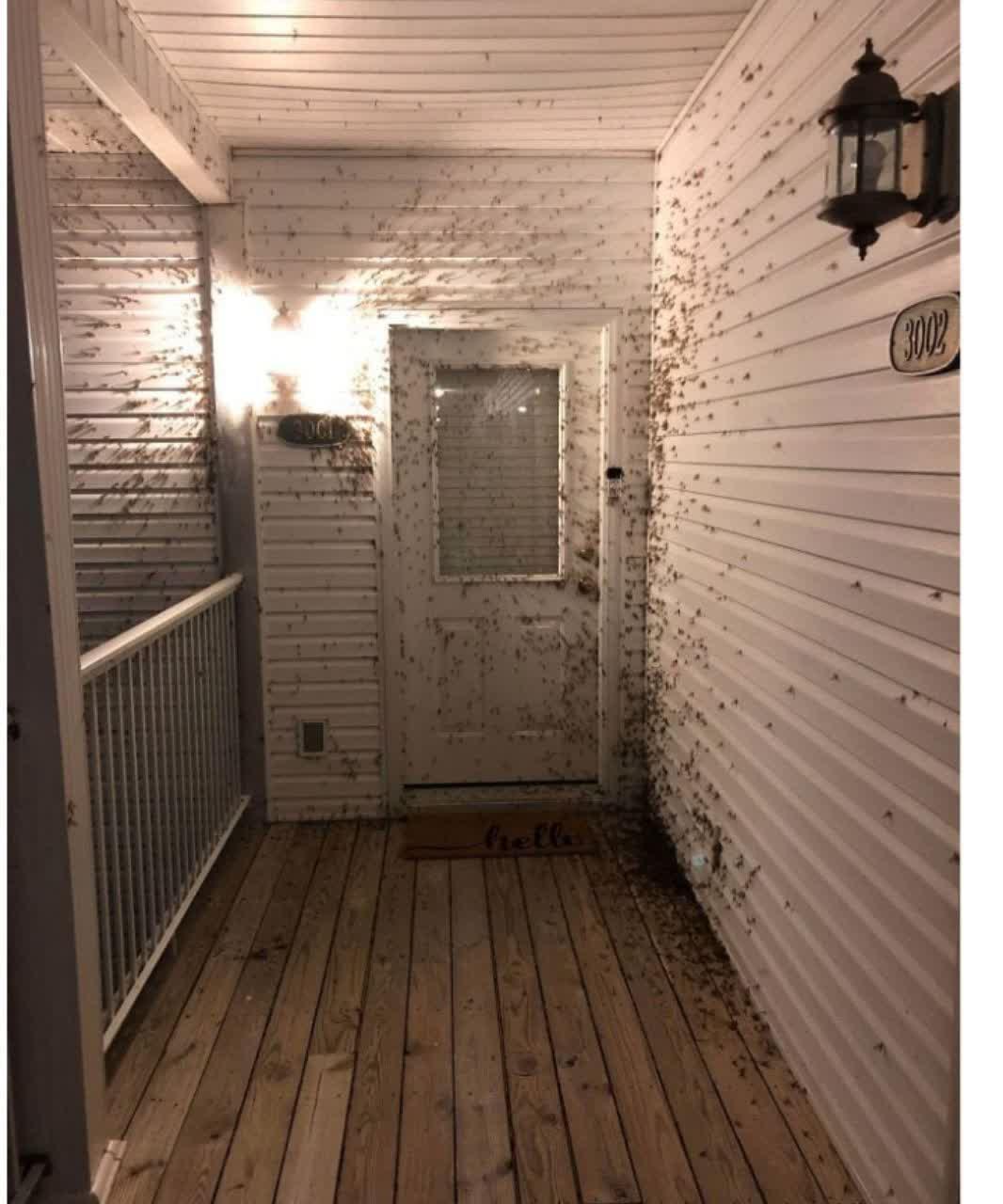 /