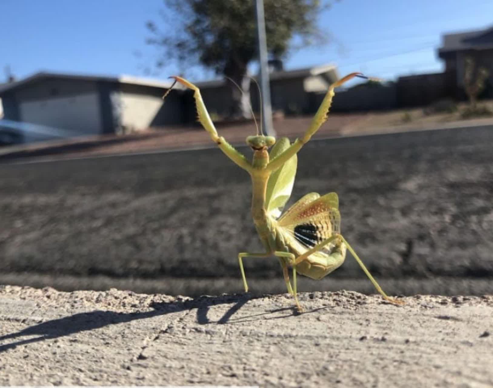 /