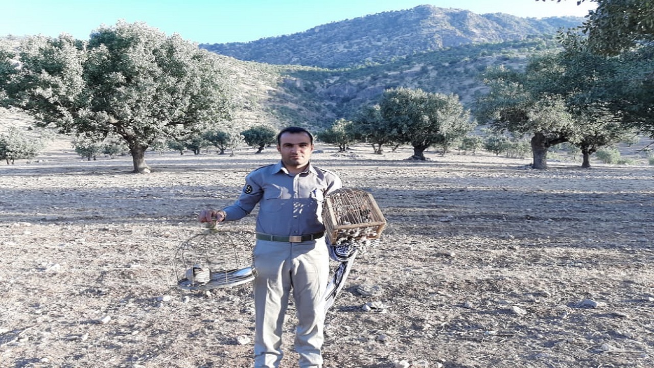 محیط بانی، شغلی سخت با خطراتی فراوان