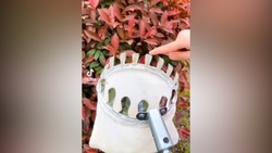 میوه آرایی با استفاده از خیار + فیلم