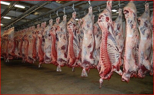 دلربایی ترش و شیرینهای ملس در دل کویر/ شیوع بیماری خطرناک در جنگلهای شمال/ مفت بخرید گران بفروشید دلربایی ترش و شیرینهای ملس در دل کویر/ شیوع بیماری خطرناک در جنگلهای شمال/ مفت بخرید گران بفروشید