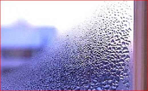 دلربایی ترش و شیرینهای ملس در دل کویر/ شیوع بیماری خطرناک در جنگلهای شمال/ مفت بخرید گران بفروشید دلربایی ترش و شیرینهای ملس در دل کویر/ شیوع بیماری خطرناک در جنگلهای شمال/ مفت بخرید گران بفروشید