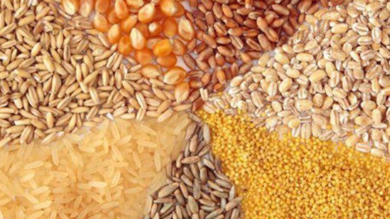 توزیع نهاده‌های دامی در فسا