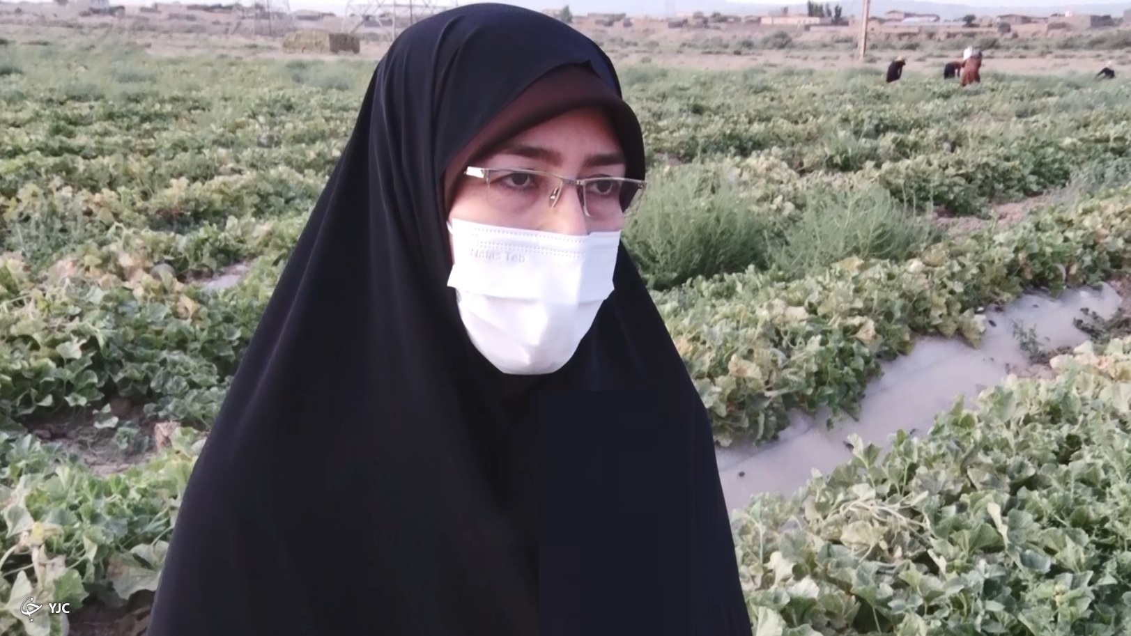 طالبی ساوه میوه نام آشنای ایران زمین