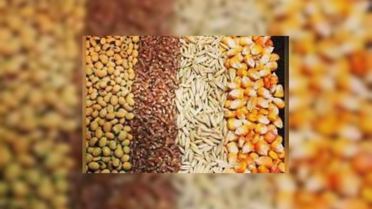 توزیع بالغ بر ۵۰ هزار تن نهاده دامی در مرودشت