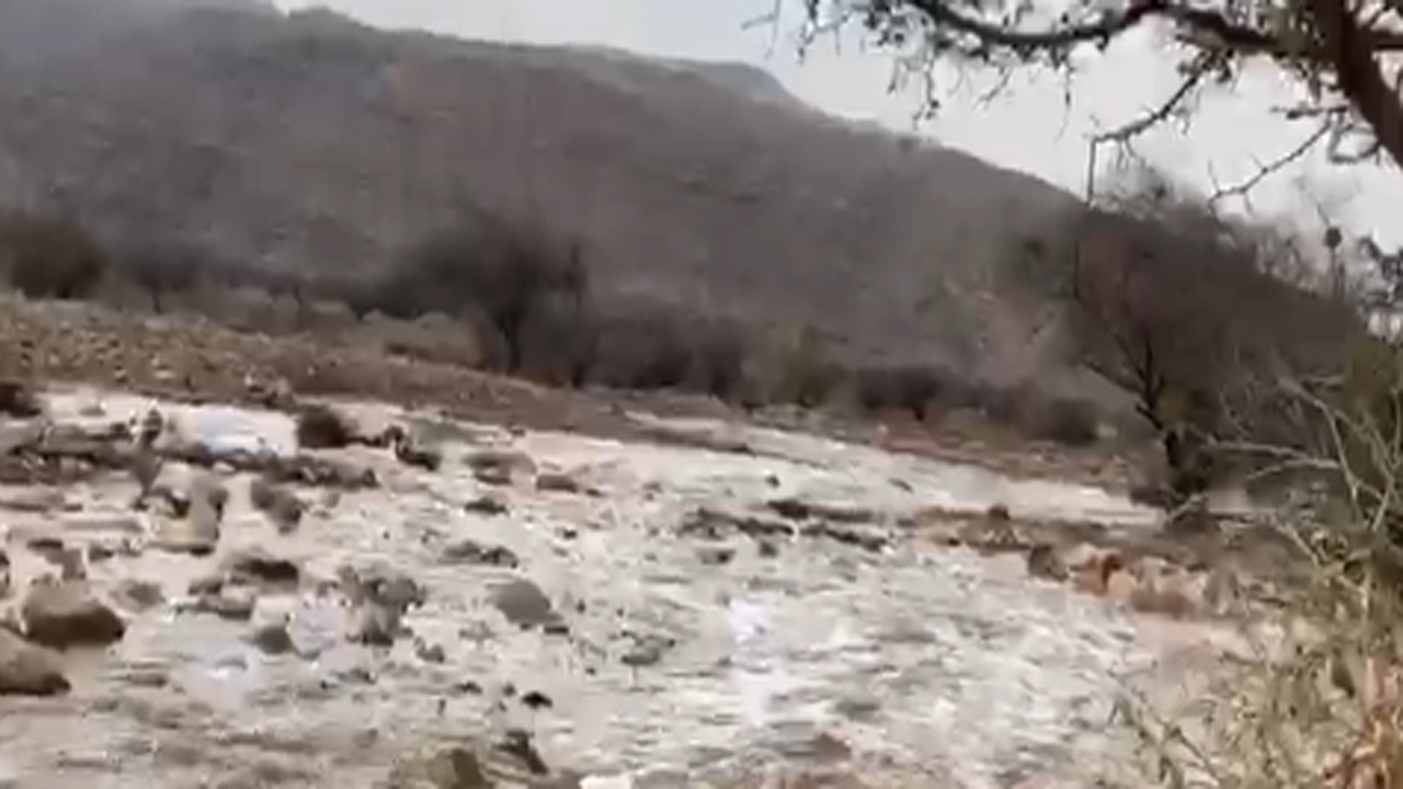 بارش باران تابستانی و جریان دوباره آب در تنگه خور + فیلم