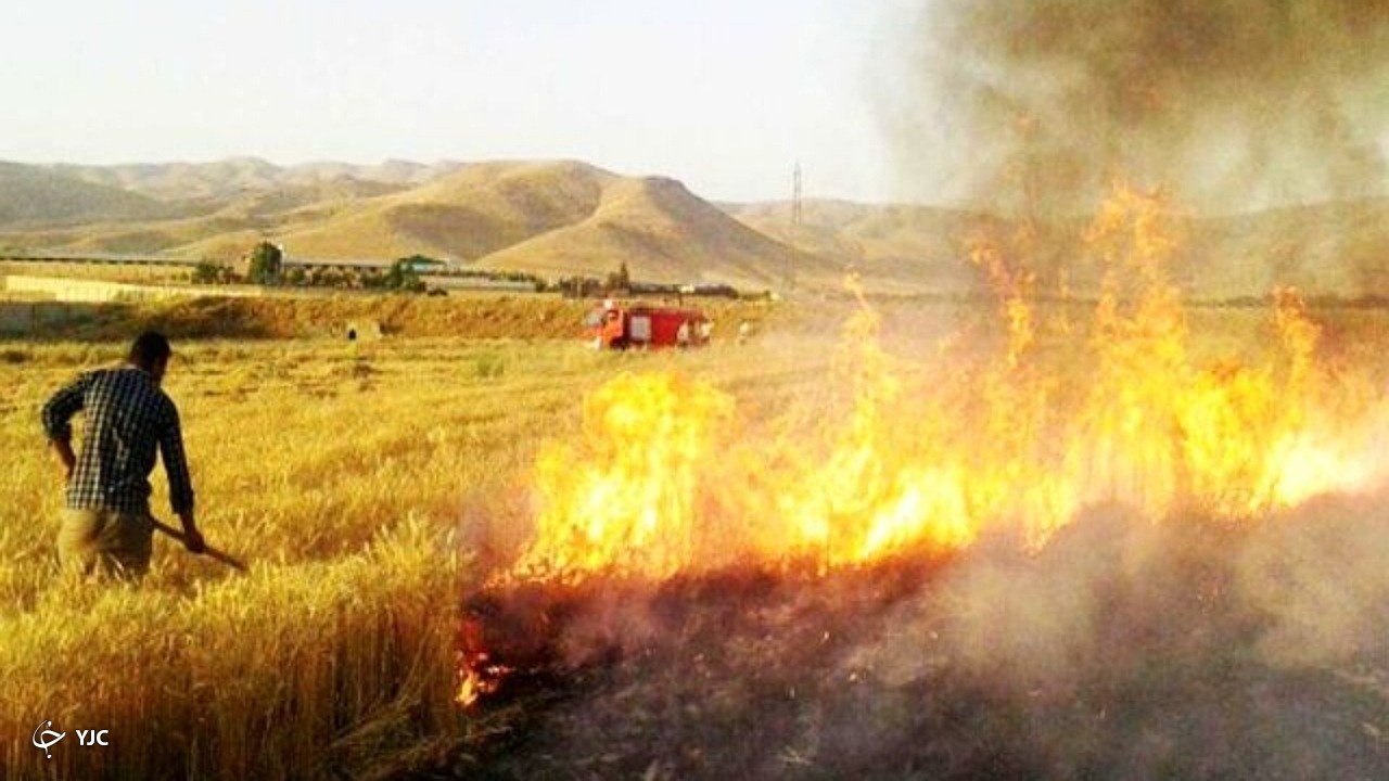 مهار آتش سوزی گندم زار قلعه حسن لو در ارومیه