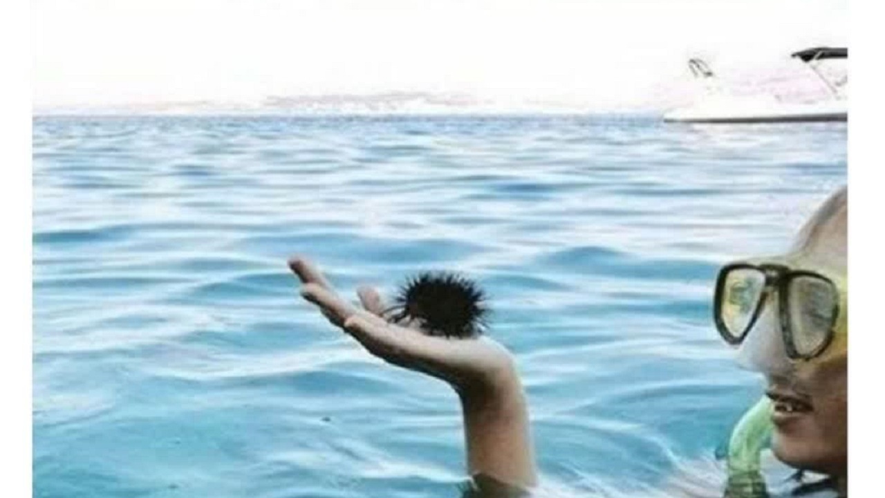 خطا&zwnj;های دیدی که شما را شگفت زده می&zwnj;کنند!!!!