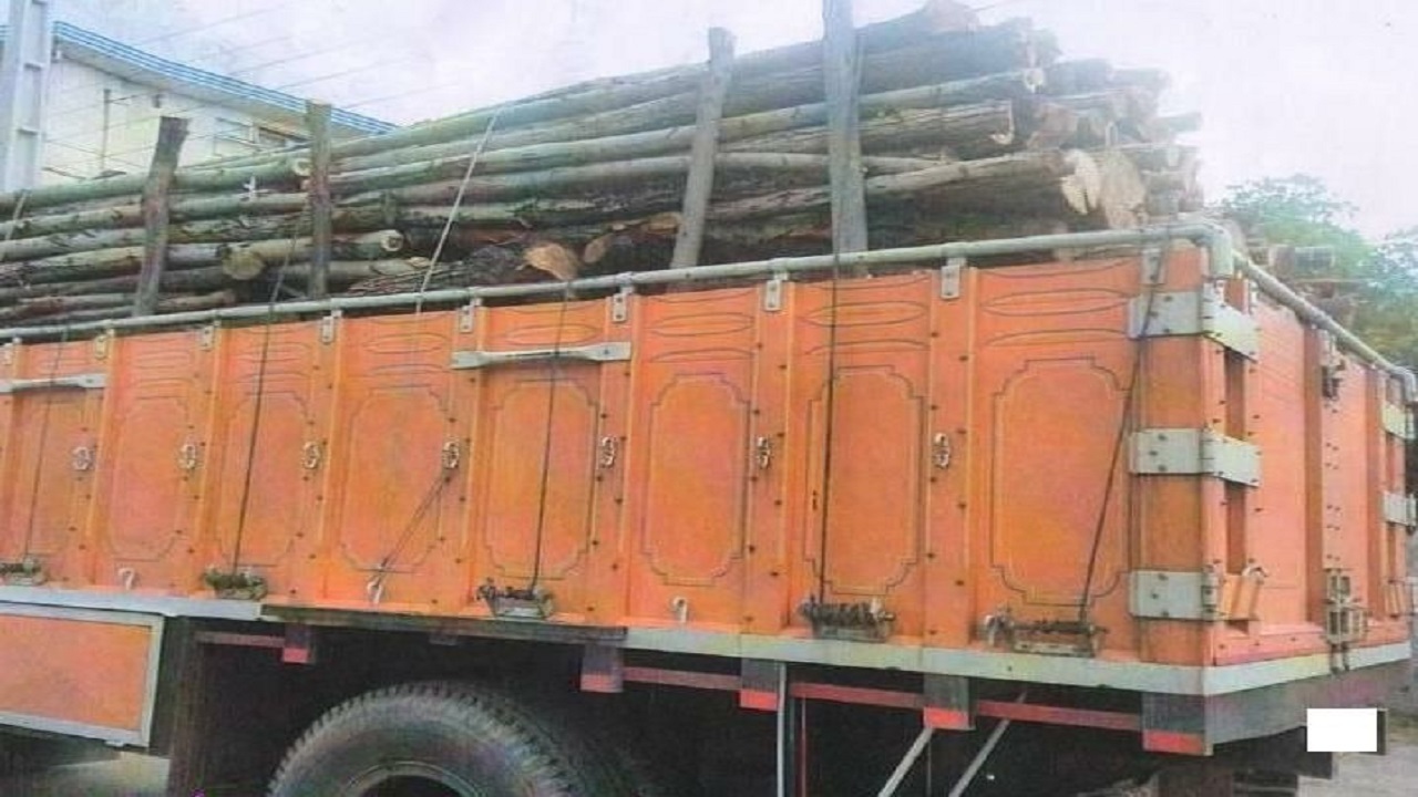 کشف ۸ تن چوب قاچاق در اتوبان سیاهکل به سنگر