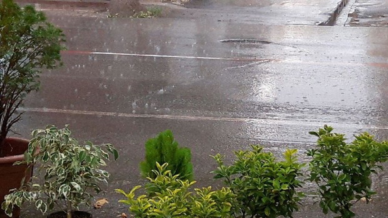 بارندگی و کاهش نسبی دمای هوا در گیلان