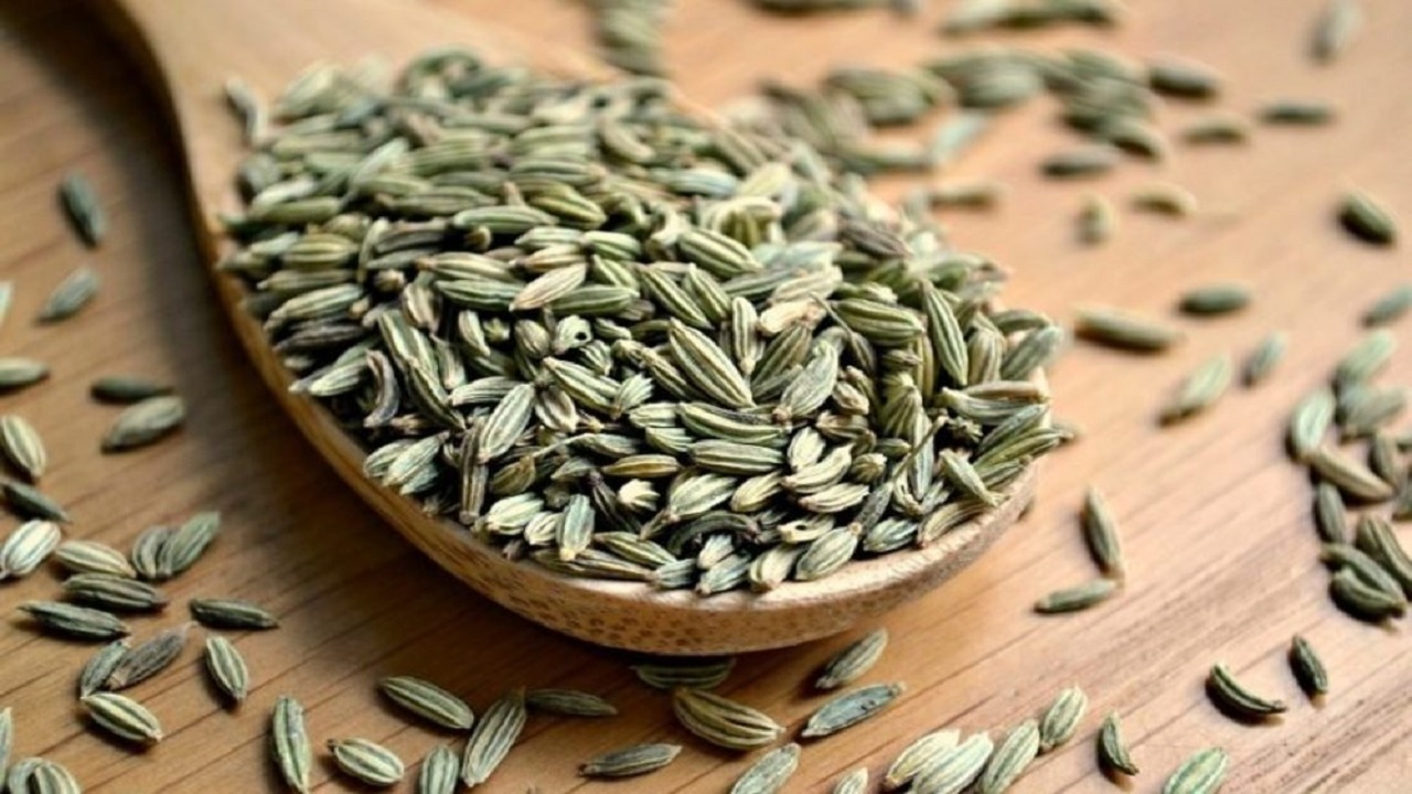 عوارض مصرف رازیانه؛ از تشدید بیماری صرع تا بلوغ زودرس و عفونت پوستی