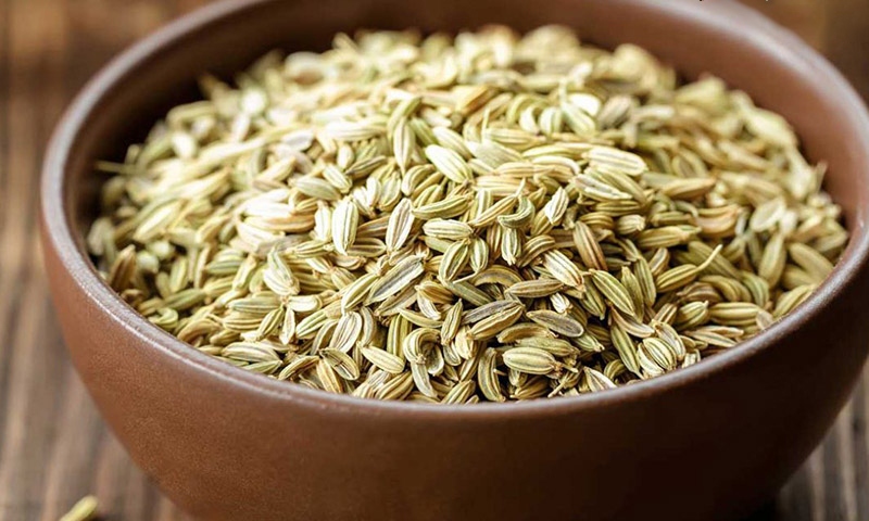 عوارض مصرف رازیانه؛ از تشدید بیماری صرع تا بلوغ زودرس و عفونت پوستی/ منتشر نشود