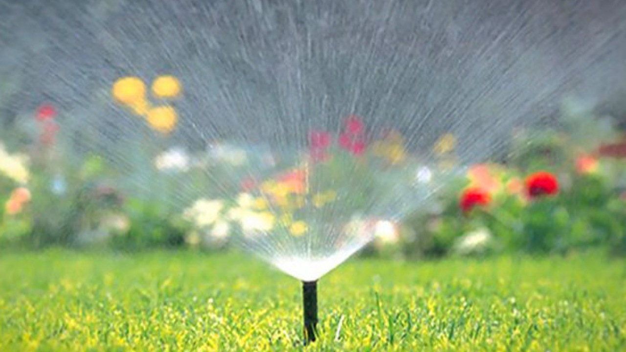 استفاده از پساب برای توسعه فضای سبز