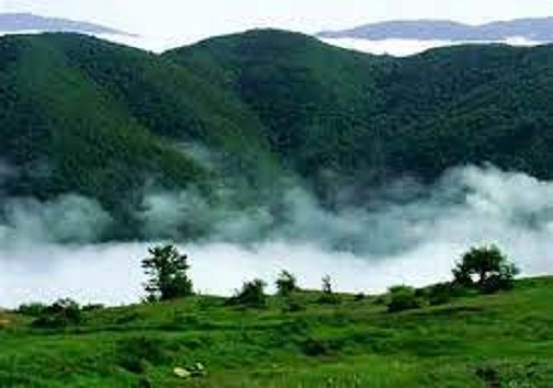 اراضی جنگلی ناچیز استان سمنان و چند تهدید توأمان