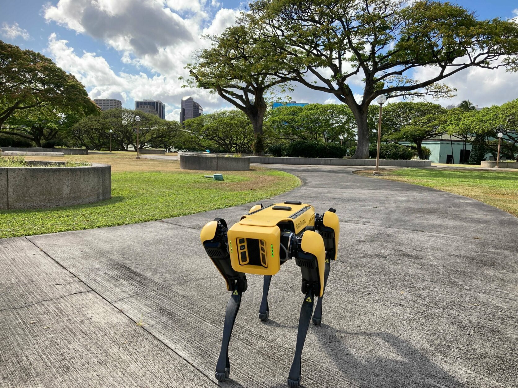 Digidog