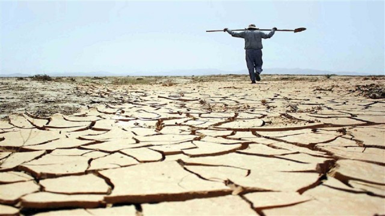 خسارت میلیاردی خشکسالی به بخش کشاورزی نی یز