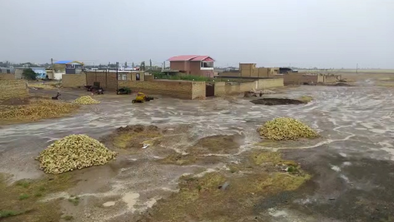 روستای حکیم آباد غرق در بارش رحمت الهی شد + فیلم