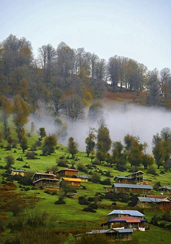 سیلوانا اکسیژن خالص جهانی