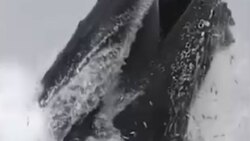 قله دماوند از نگاه یک پاراگلایدر سوار + فیلم