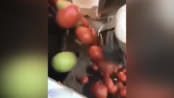 ربات کوچکی که نقاشی می‌کند + فیلم