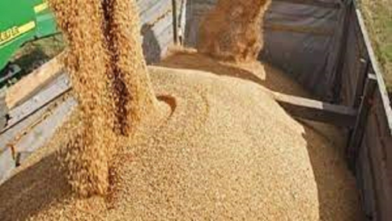 توزیع ۱۲۹ هزار تن نهاده دامی در استان اصفهان