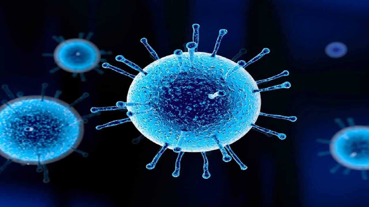 کرونا ثبت احوال امیدیه را به تعطیلی کشاند