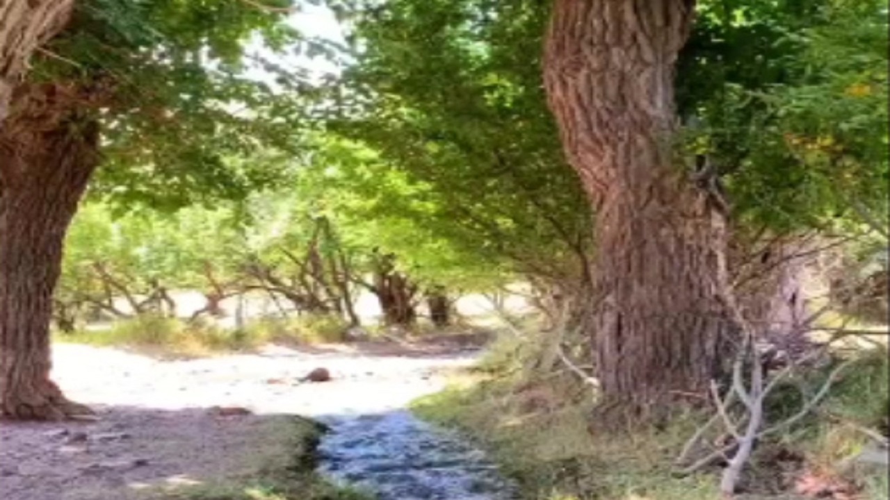 فیلمی از طبیعت چشم‌ نواز روستای نامق