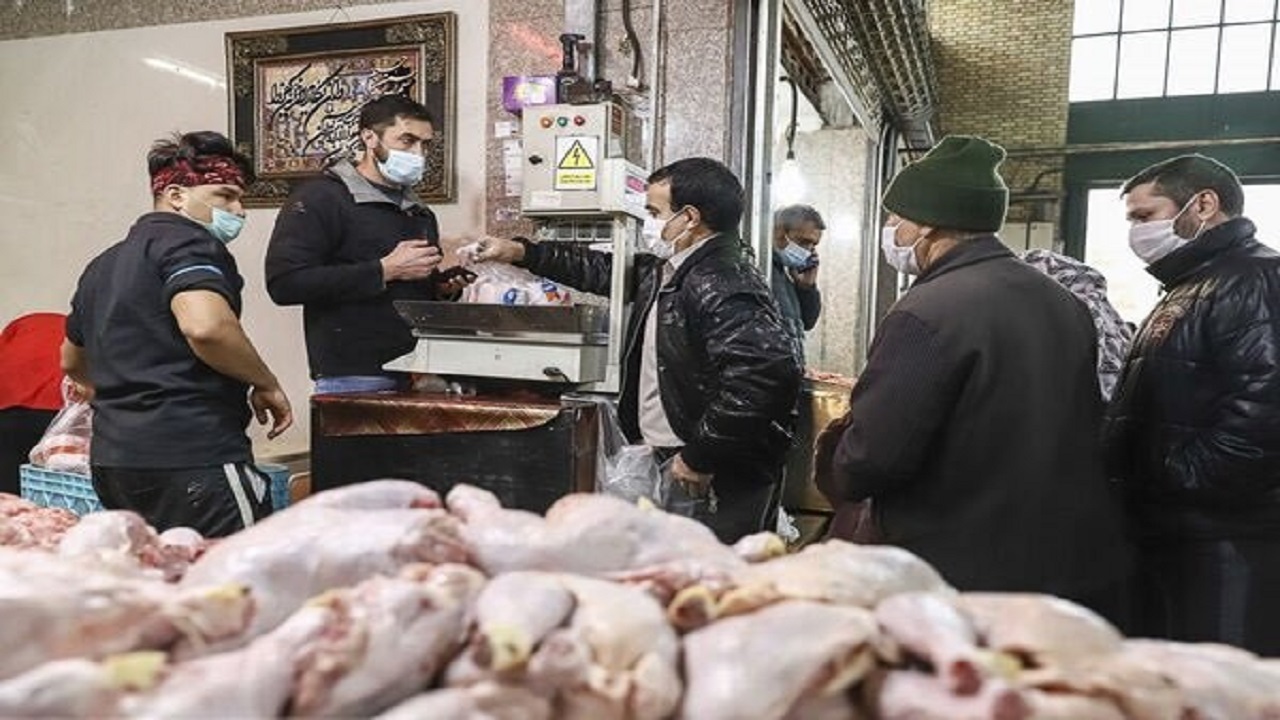 هنرنمایی دلالان مرغ در سکوت مرغ فروشان