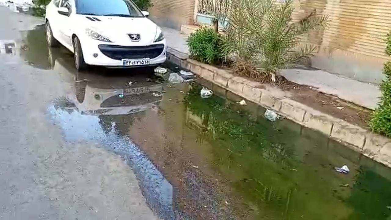 نشت فاضلاب در معابر محله پادادشهر + فیلم