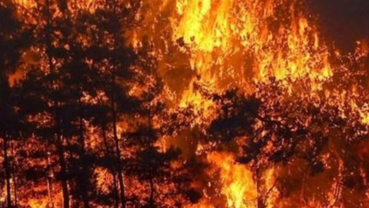 قربانیان آتش سوزی هایقر به ۴ تن رسید/ حریق مهار شد