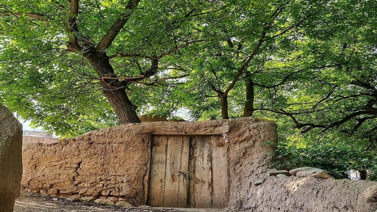 تصاویری از کوچه باغ های روستای لیوار