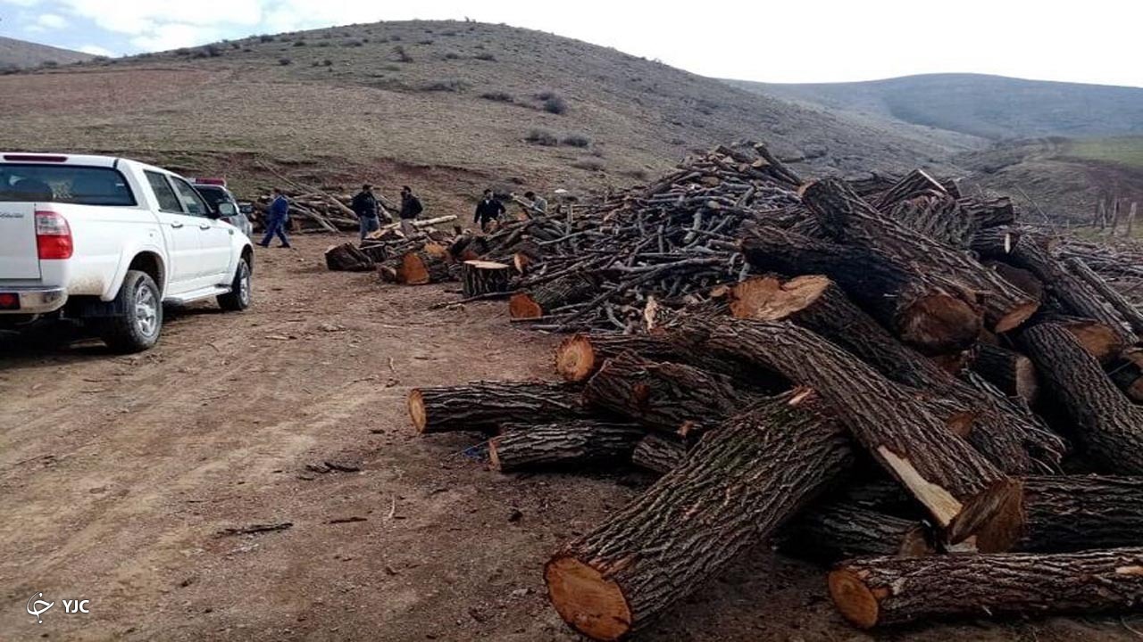 ۳ تن چوب قاچاق در مهاباد کشف شد