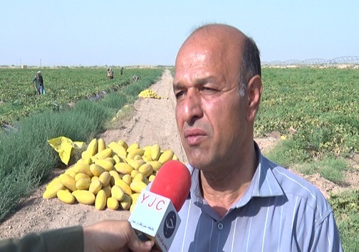 تورج خوشبخت رئیس تولیدات گیاهی جهاد کشاورزی سمنان