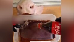 اثرات نوشابه گاز دار بر اعضای بدن + فیلم