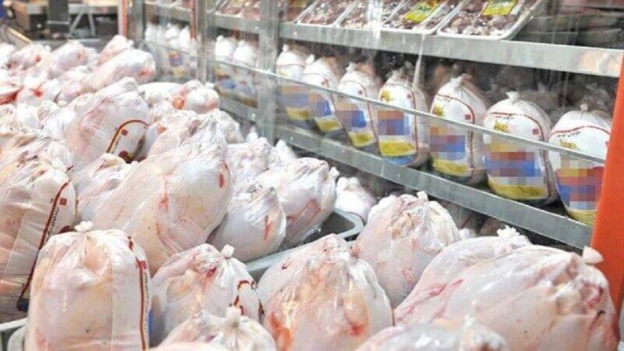 قطع سهمیه ۲۰ واحد مرغ‌فروشی در چهارمحال و بختیاری
