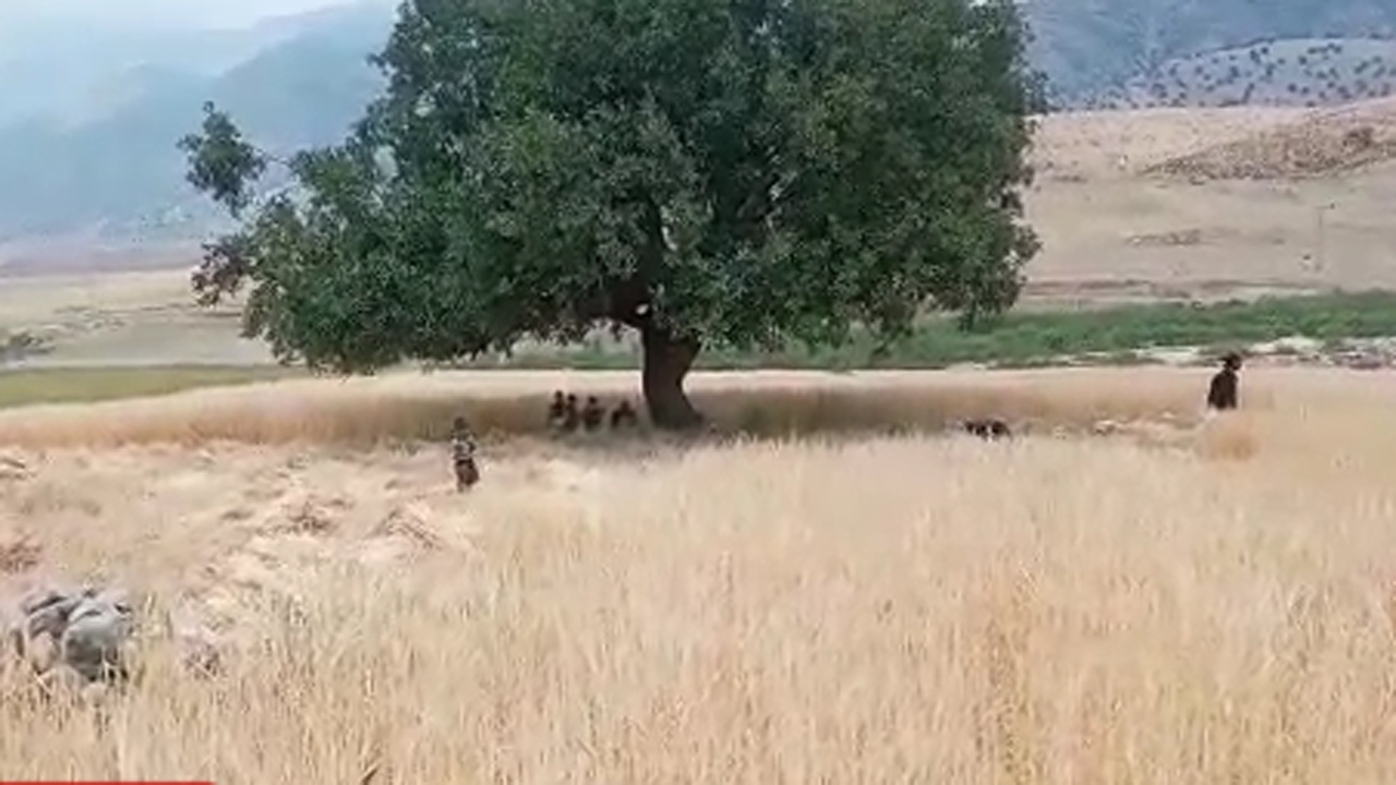 از