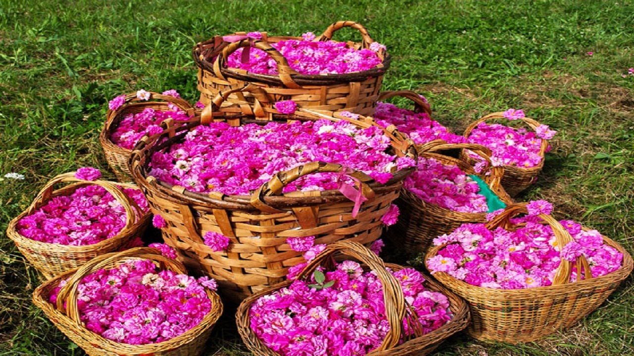 عطر نفس&zwnj;های زمین از بلندای بام ایران به کهشکشان می&zwnj;رسد