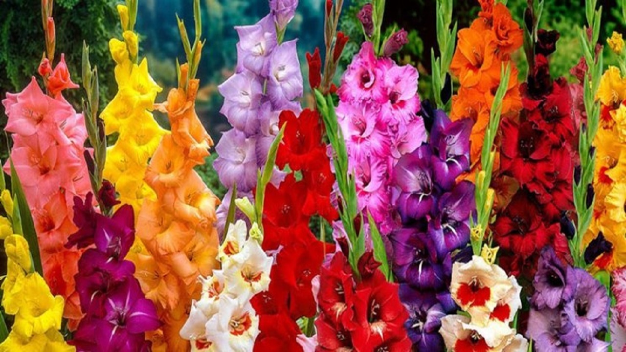عطر نفس&zwnj;های زمین از بلندای بام ایران به کهشکشان می&zwnj;رسد