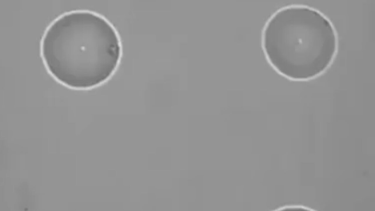ورود ربات‌ها به دنیای یاخته‌ها + فیلم