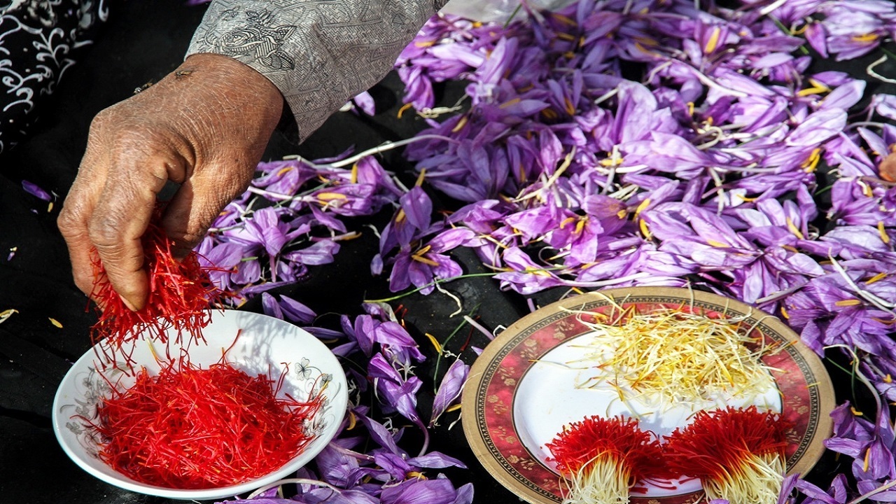 طلای سرخ