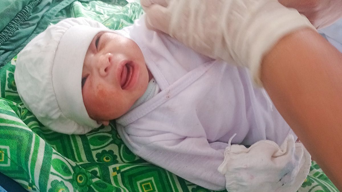 مار کبرا